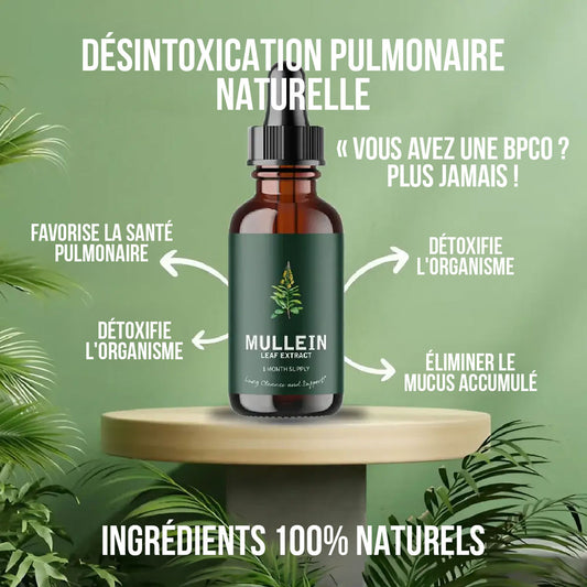 Vitaprimes™ - Extrait de feuille de molène