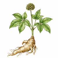 PANAX NOTOGINSENG