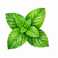 MENTHOL