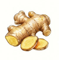 GINGER ROOT